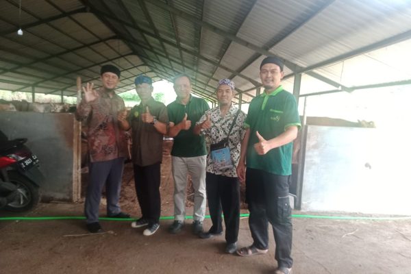 Galeri Launching Hewan Qurban ProdEc PD Persis Garut: Momentum Kebersamaan dan Keberkahan